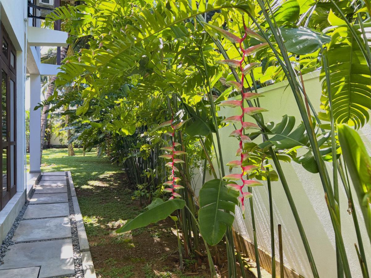 Villa Ema ガル エクステリア 写真